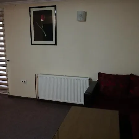 Apartmani Central *